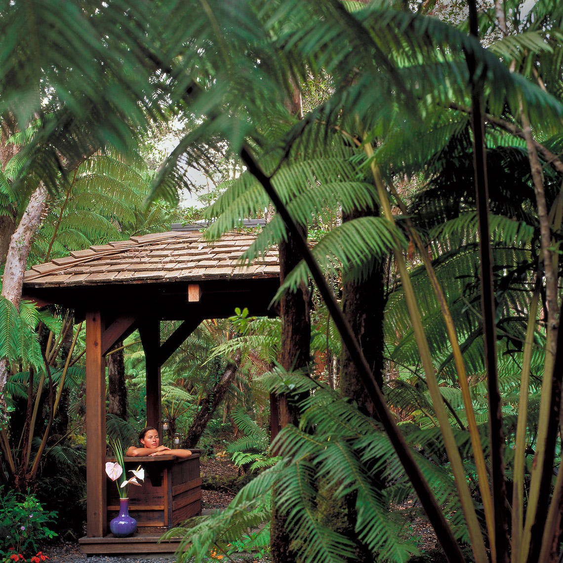 Bed and Breakfasts - Hawaii - Travel and Leisure